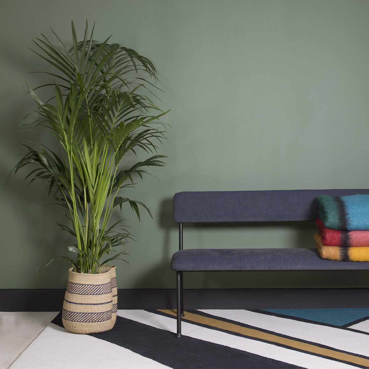 Tapis Eclat